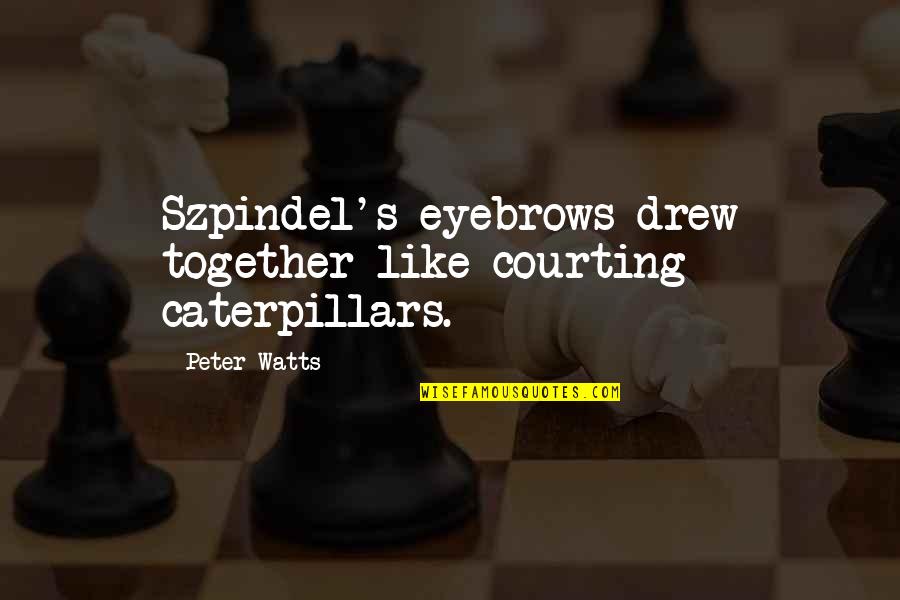 Courting Quotes By Peter Watts: Szpindel's eyebrows drew together like courting caterpillars.