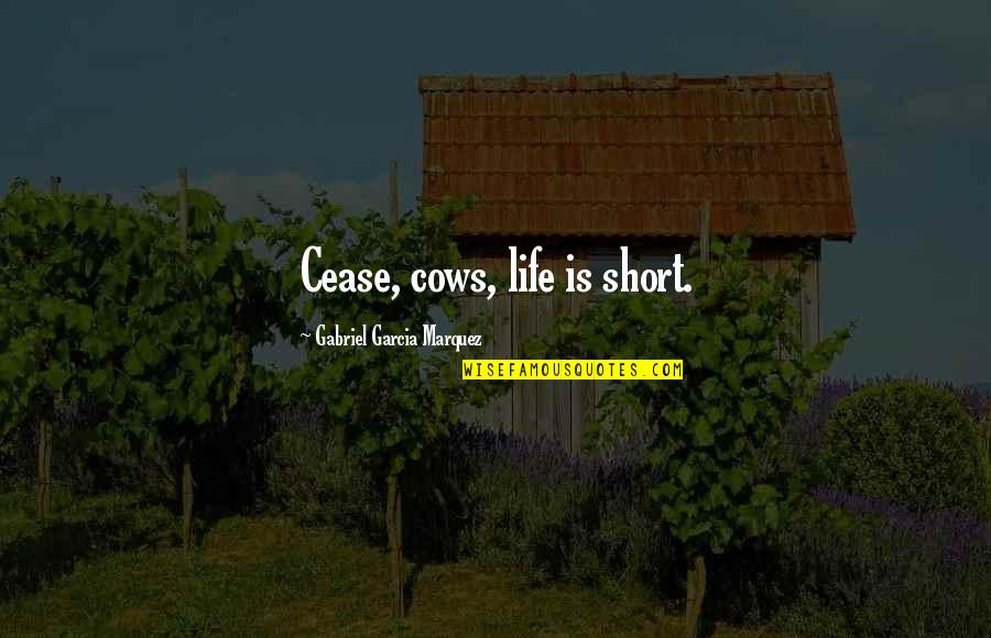 Cows And Life Quotes By Gabriel Garcia Marquez: Cease, cows, life is short.