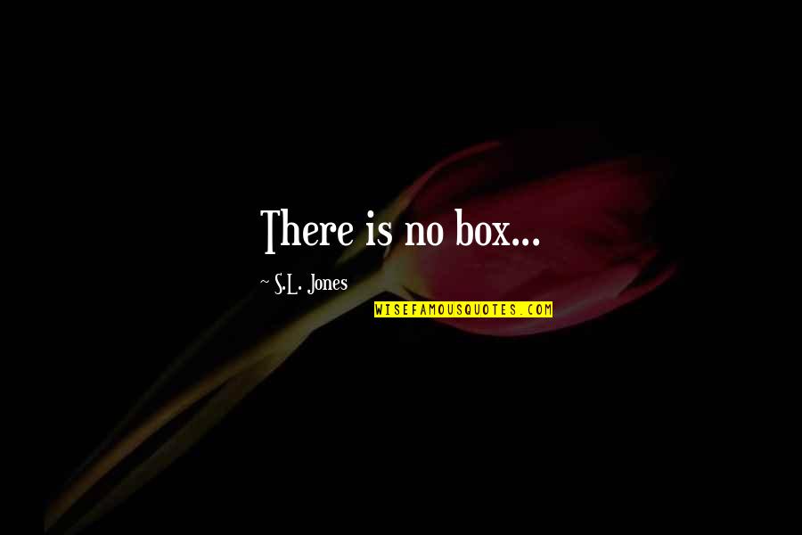 Cracow Quotes By S.L. Jones: There is no box...