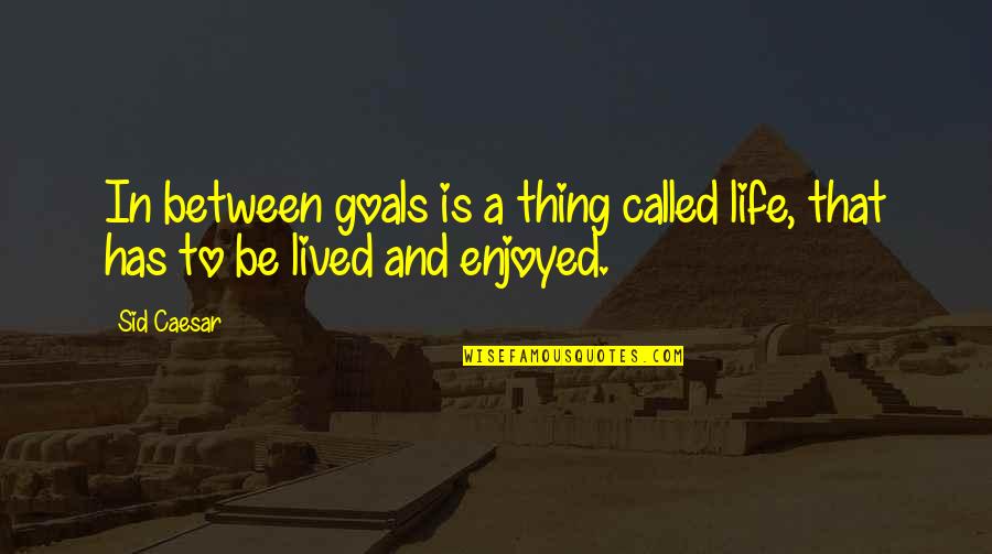 Crampy Feeling Quotes By Sid Caesar: In between goals is a thing called life,