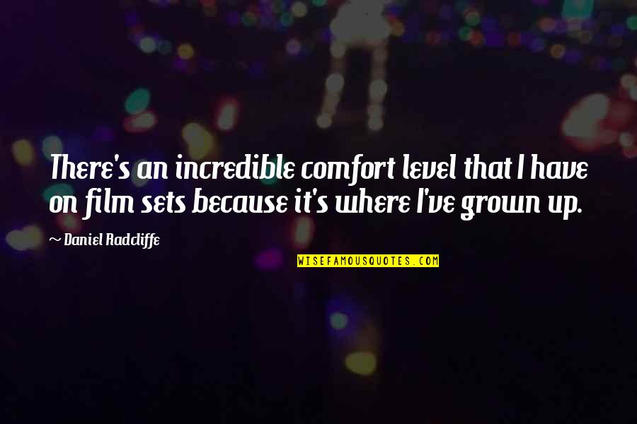 Cranberries Quotes By Daniel Radcliffe: There's an incredible comfort level that I have