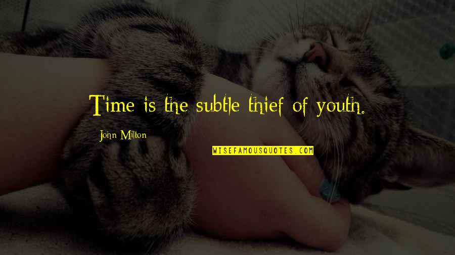 Cranny Mack Quotes By John Milton: Time is the subtle thief of youth.