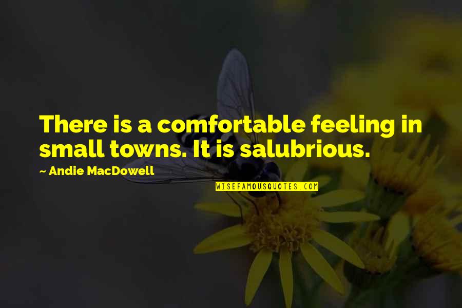 Cravings Quotes And Quotes By Andie MacDowell: There is a comfortable feeling in small towns.