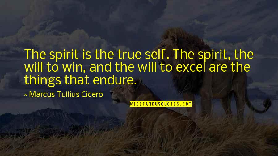 Creacionismo Y Quotes By Marcus Tullius Cicero: The spirit is the true self. The spirit,