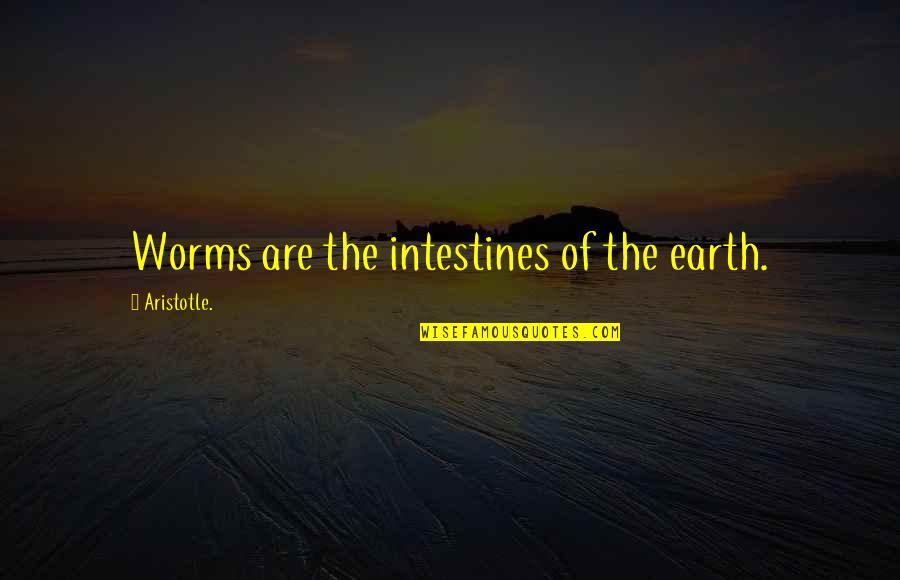 Creation Vs Evolution Quotes By Aristotle.: Worms are the intestines of the earth.