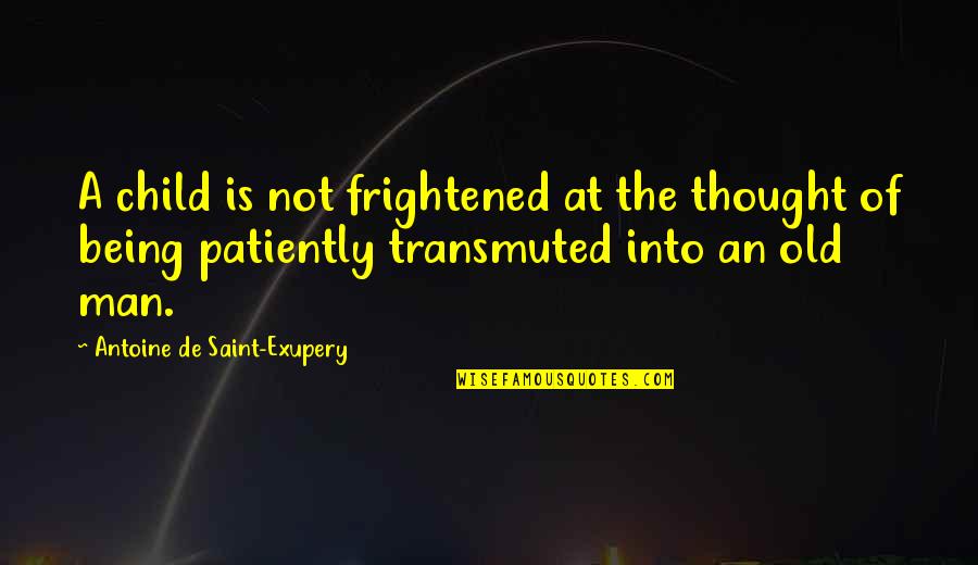 Cronje Surrendering Quotes By Antoine De Saint-Exupery: A child is not frightened at the thought