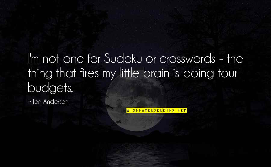 Crosswords Quotes By Ian Anderson: I'm not one for Sudoku or crosswords -