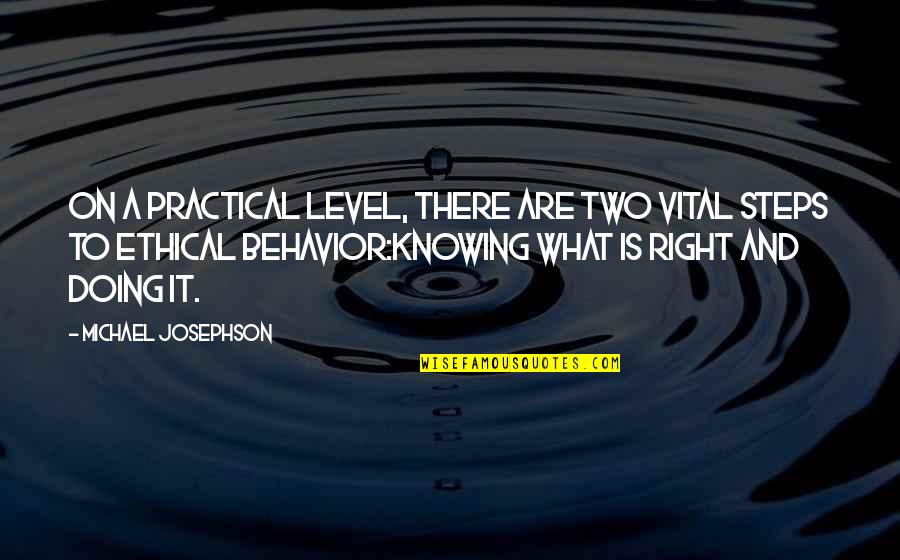 Crowd Surfing Videos Quotes By Michael Josephson: On a practical level, there are two vital