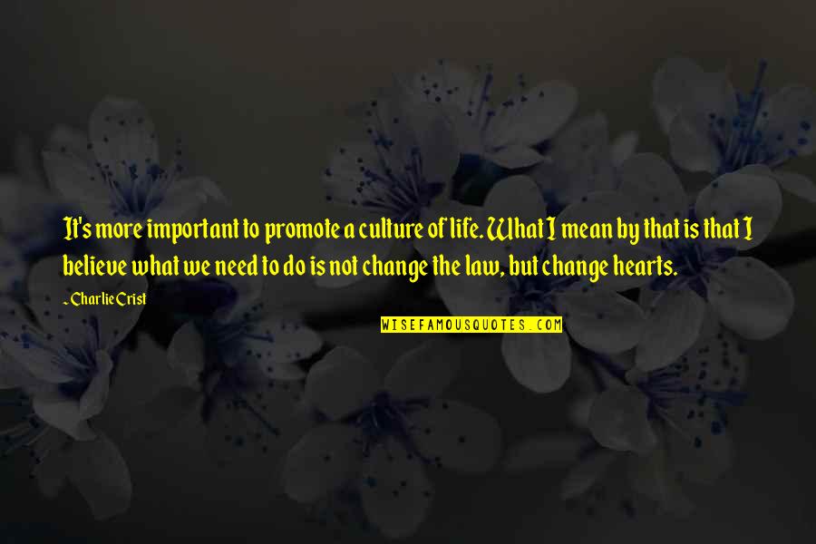 Culture Of Life Quotes By Charlie Crist: It's more important to promote a culture of