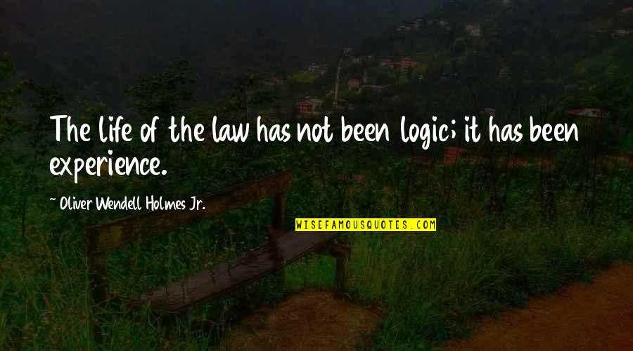 Culture Of Life Quotes By Oliver Wendell Holmes Jr.: The life of the law has not been