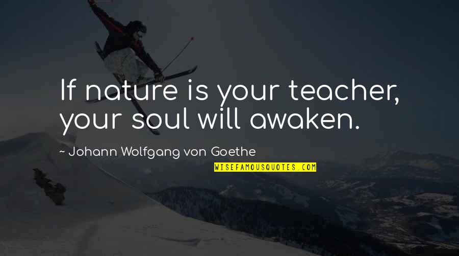 Culverts Inc Quotes By Johann Wolfgang Von Goethe: If nature is your teacher, your soul will