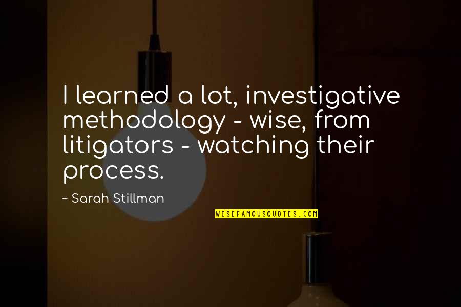 Cunho Significado Quotes By Sarah Stillman: I learned a lot, investigative methodology - wise,