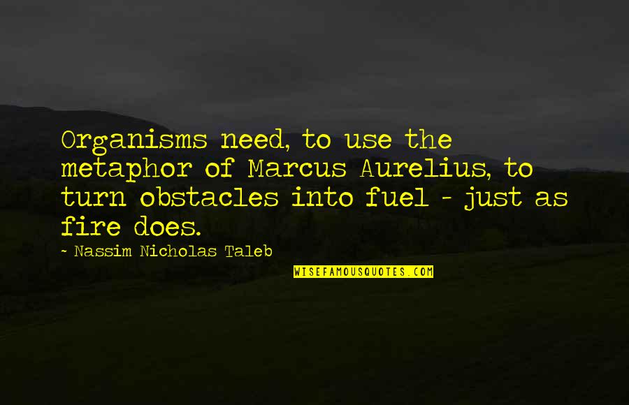 Cute Drawing Quotes By Nassim Nicholas Taleb: Organisms need, to use the metaphor of Marcus