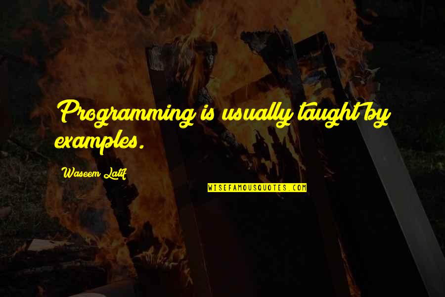 Cute Weed Couple Quotes By Waseem Latif: Programming is usually taught by examples.