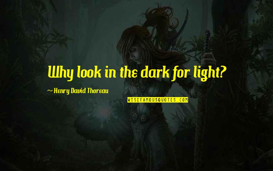 Dabany And Stewie Quotes By Henry David Thoreau: Why look in the dark for light?