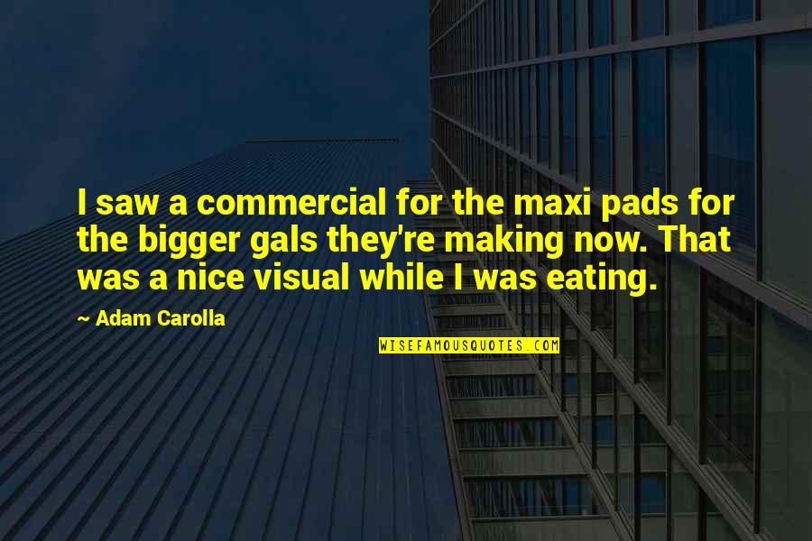 Dabbled Quotes By Adam Carolla: I saw a commercial for the maxi pads