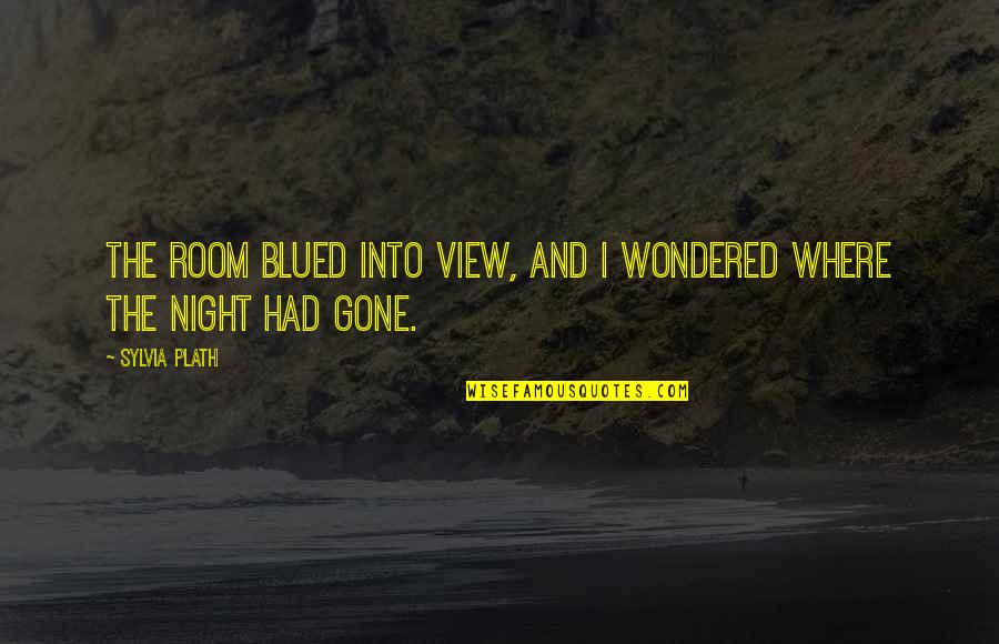 Dacia Maraini Quotes By Sylvia Plath: The room blued into view, and I wondered