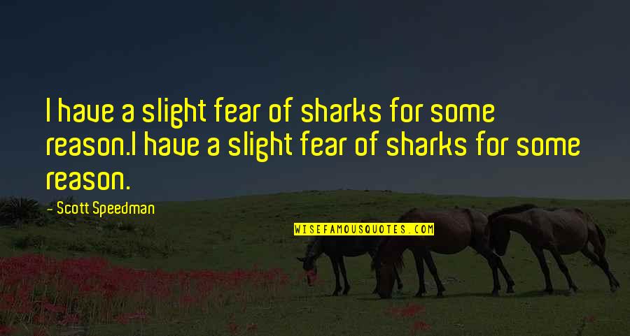 Dadaistic Quotes By Scott Speedman: I have a slight fear of sharks for