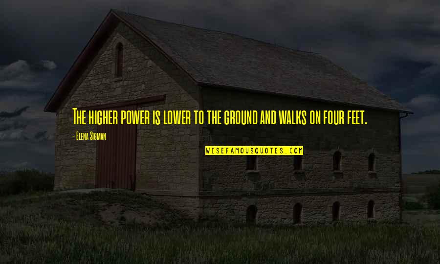 Dafnie Now And Then Quotes By Elena Sigman: The higher power is lower to the ground