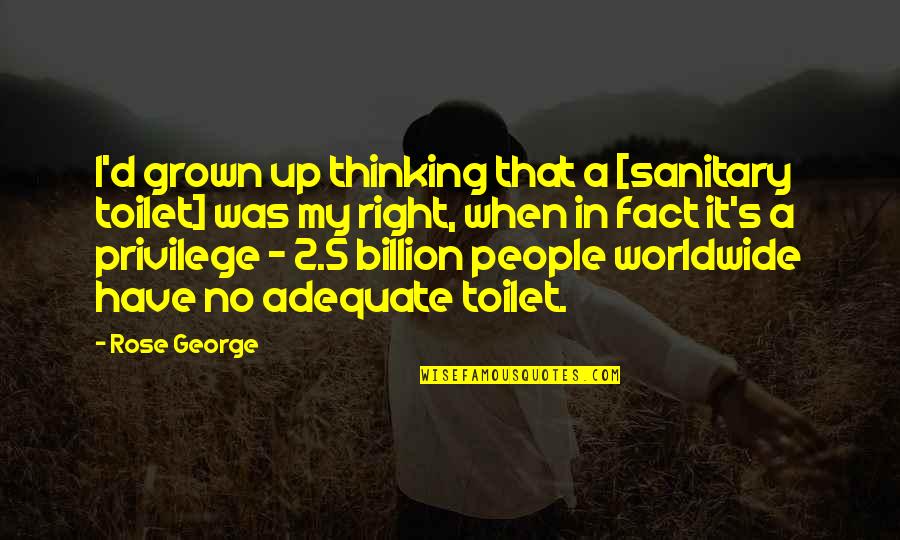 Dambergers Quotes By Rose George: I'd grown up thinking that a [sanitary toilet]