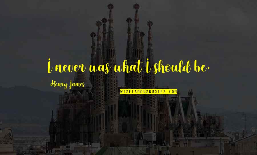 Damiens Execution Quotes By Henry James: I never was what I should be.