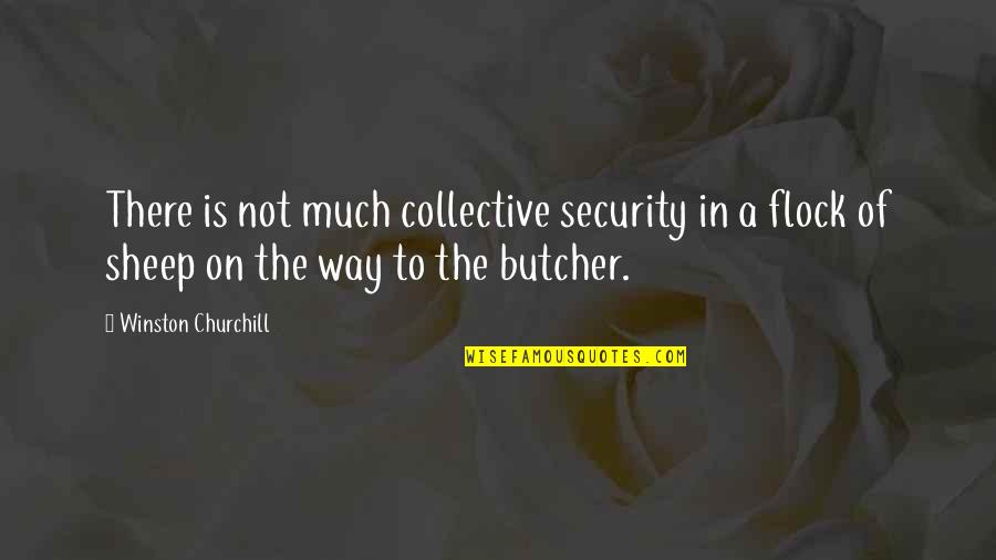 Dandamudi Nephrologist Quotes By Winston Churchill: There is not much collective security in a