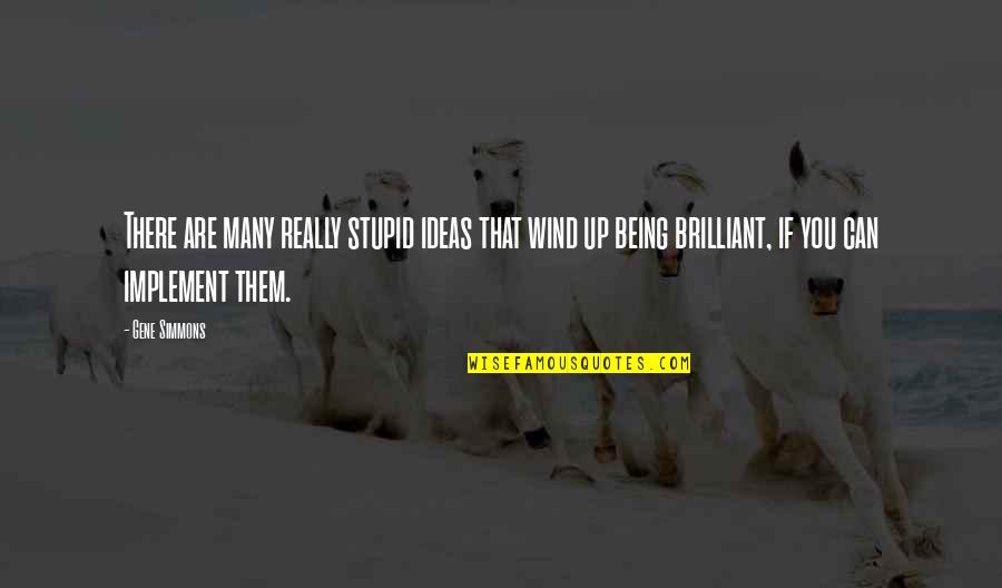 Danok Nightlife Quotes By Gene Simmons: There are many really stupid ideas that wind