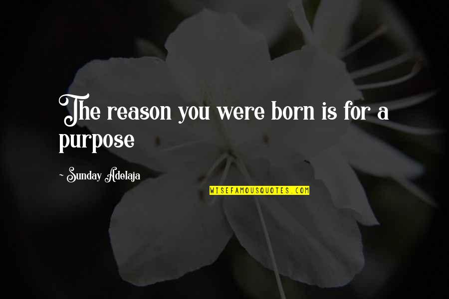 Daphne Rae Quotes By Sunday Adelaja: The reason you were born is for a