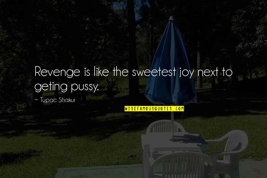 Darkly Big Quotes By Tupac Shakur: Revenge is like the sweetest joy next to