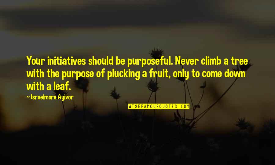 Darneice Jones Quotes By Israelmore Ayivor: Your initiatives should be purposeful. Never climb a
