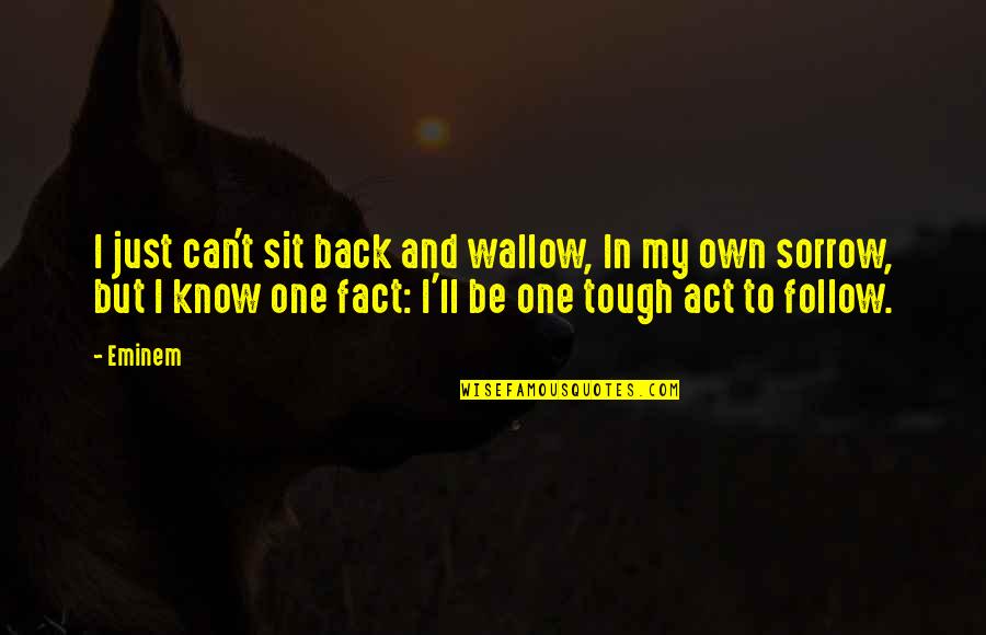 Datorer Quotes By Eminem: I just can't sit back and wallow, In