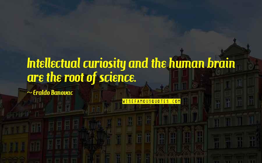 Daubed Quotes By Eraldo Banovac: Intellectual curiosity and the human brain are the