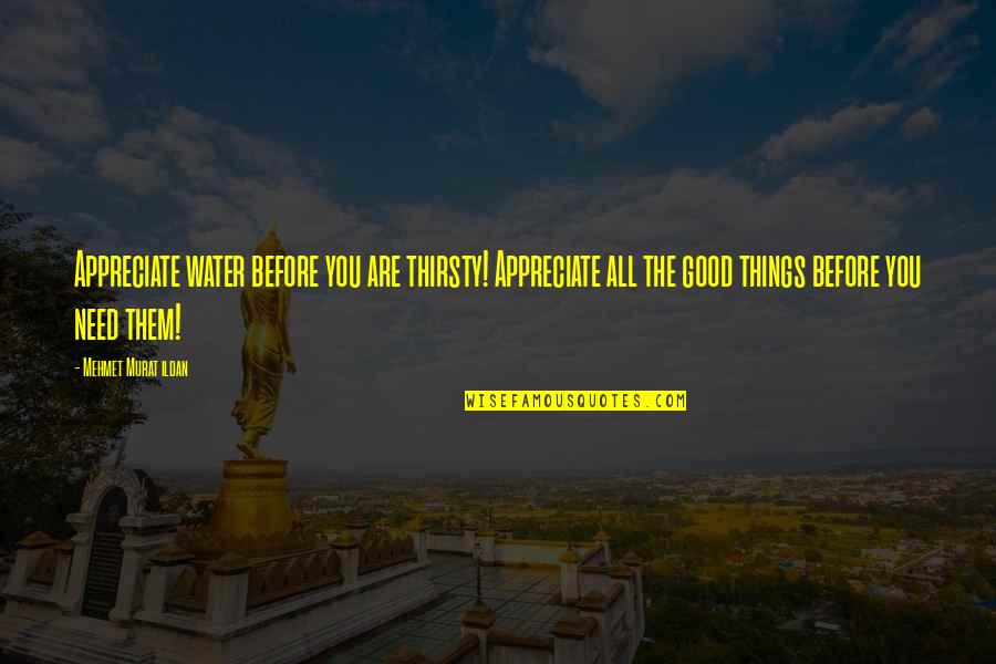 Daughter Of Queen Quotes By Mehmet Murat Ildan: Appreciate water before you are thirsty! Appreciate all