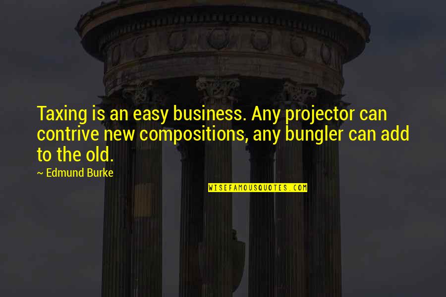 Daughterhood Blog Quotes By Edmund Burke: Taxing is an easy business. Any projector can