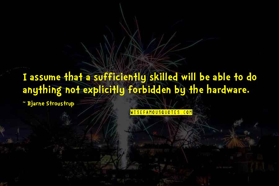 David Hingsburger Quotes By Bjarne Stroustrup: I assume that a sufficiently skilled will be