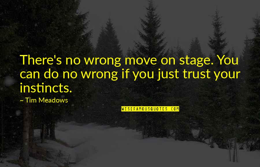 David Ho Artist Quotes By Tim Meadows: There's no wrong move on stage. You can