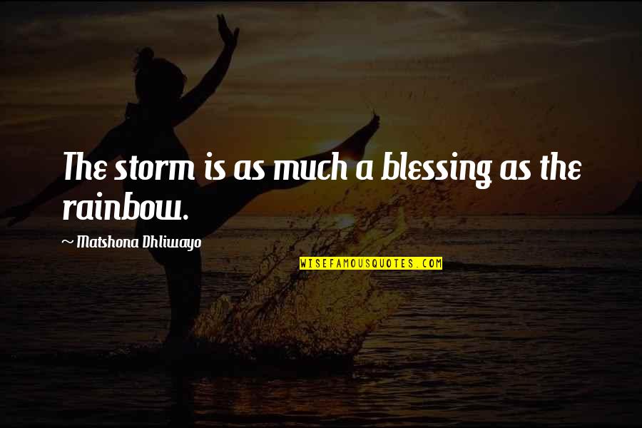 David N. Elkins Quotes By Matshona Dhliwayo: The storm is as much a blessing as