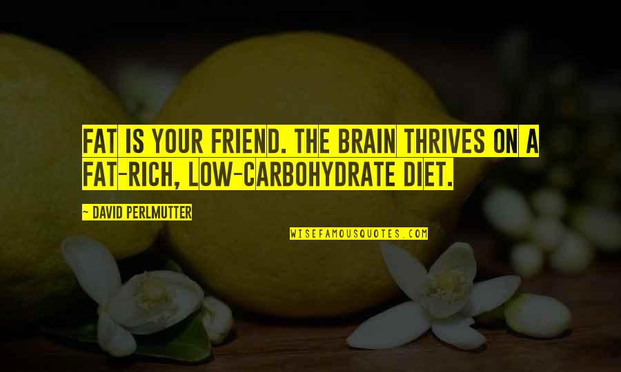 David Perlmutter Quotes By David Perlmutter: Fat is your friend. The brain thrives on