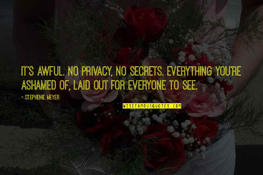 Daybreakers Quotes By Stephenie Meyer: It's awful. No privacy, no secrets. Everything you're