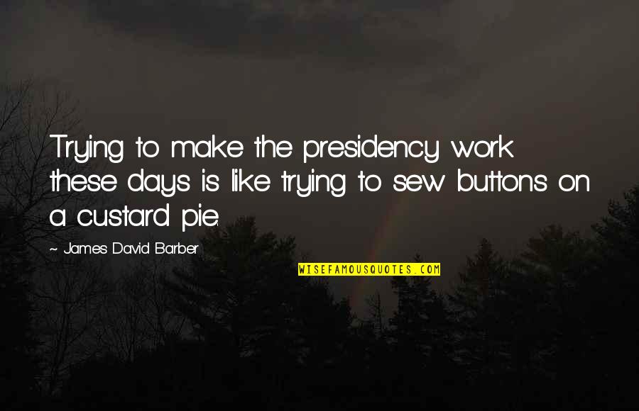 Days Like These Quotes By James David Barber: Trying to make the presidency work these days