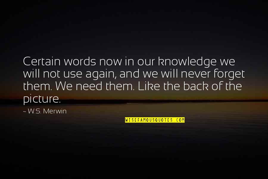 Dc Movies Quotes By W.S. Merwin: Certain words now in our knowledge we will