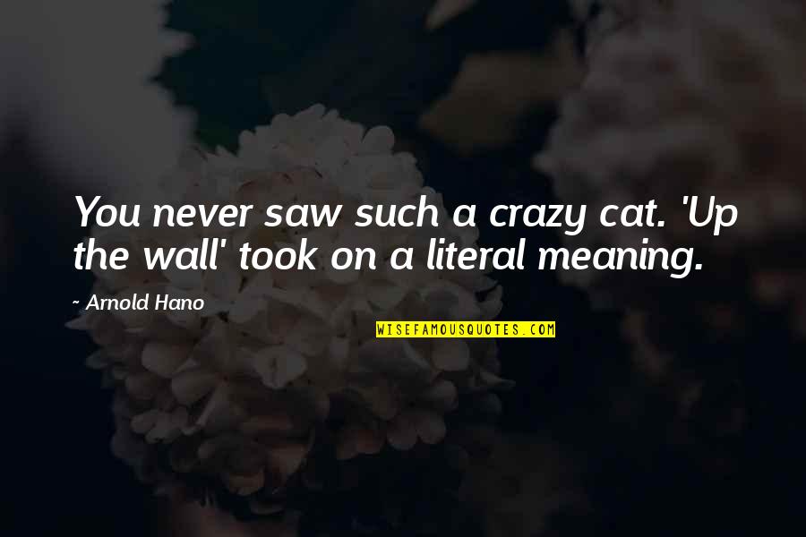 Dear Eyebags Quotes By Arnold Hano: You never saw such a crazy cat. 'Up