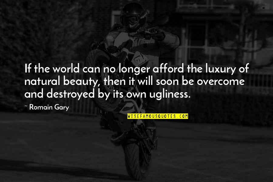 Dear Sir Quotes By Romain Gary: If the world can no longer afford the