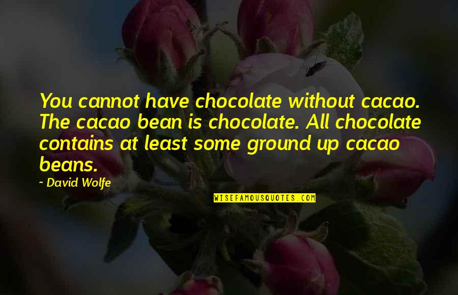 Debye Model Quotes By David Wolfe: You cannot have chocolate without cacao. The cacao