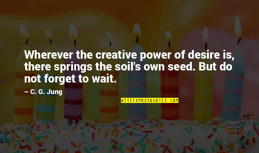 Decent Behavior Quotes By C. G. Jung: Wherever the creative power of desire is, there