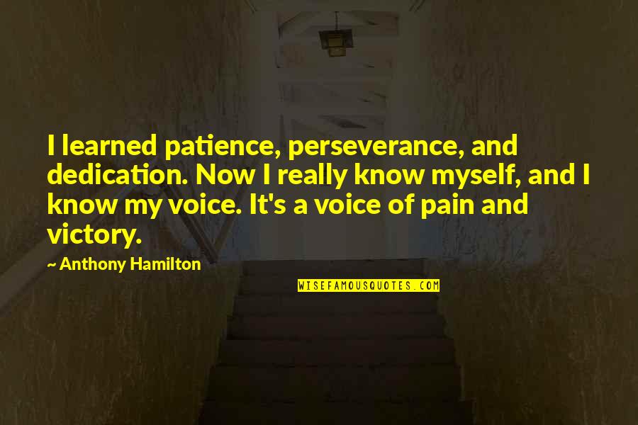 Dedication Quotes By Anthony Hamilton: I learned patience, perseverance, and dedication. Now I