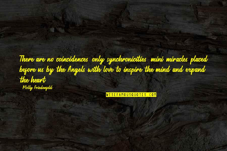 Definici N De Salud Quotes By Molly Friedenfeld: There are no coincidences, only synchronicities: mini miracles