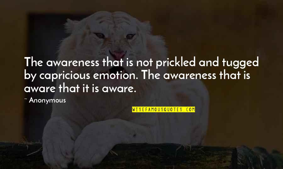 Definita Bugetului Quotes By Anonymous: The awareness that is not prickled and tugged