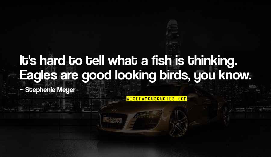 Dejoy Quotes By Stephenie Meyer: It's hard to tell what a fish is