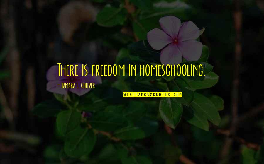 Delpit 1995 Quotes By Tamara L. Chilver: There is freedom in homeschooling.